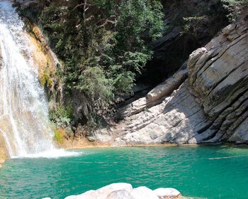 Se recomienda cuidar del sitio