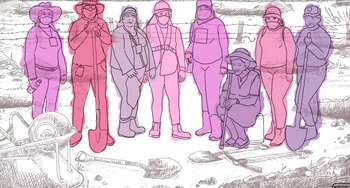 La inmensa mayoría de colectivos