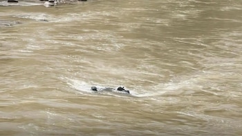 Tragedia en la Carretera Central: tres muertos y dos heridos tras caída de auto al río Mantaro en Junín