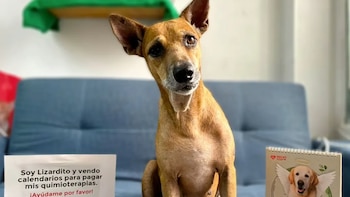 De vender calendarios para pagar