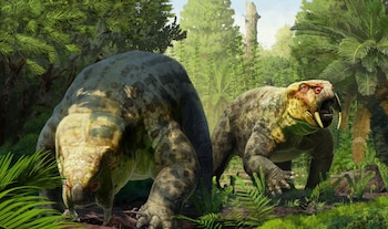 La nueva especie de dicinodonte une registros fósiles de Tanzania y Sudamérica, dos regiones conectadas dentro de la antigua Pangea