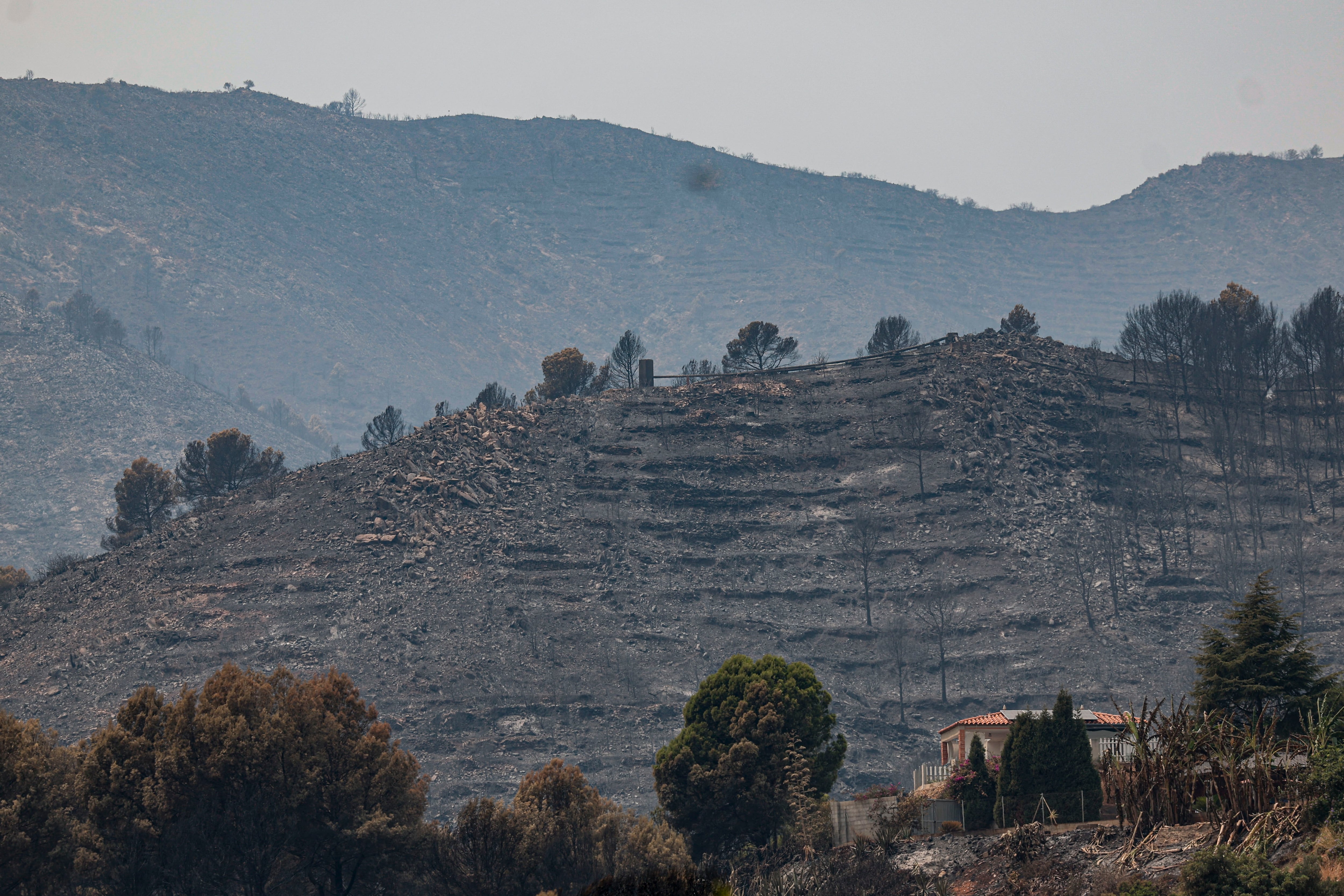 Vista general de los montes que rodean el pueblo de La Vilavella (Castellón). (EFE/Manuel Bruque)