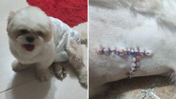 En medio de una discusión,