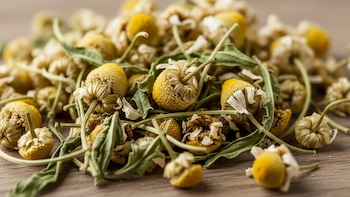 Manzanilla: el remedio medicinal que