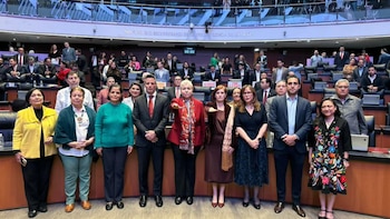 Senado ratifica a Luz Elena