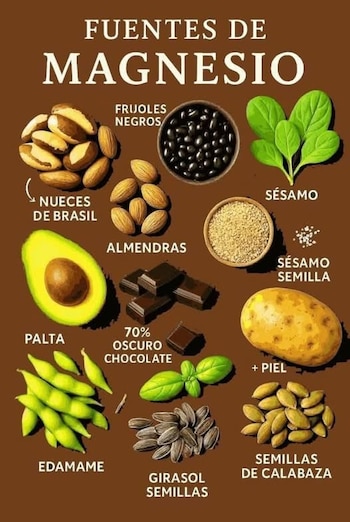 El magnesio participa en más