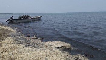 Solo un sobreviviente, de origen