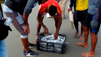 Video: hasta con las manos