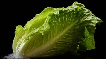 (Imagen Ilustrativa Infobae)