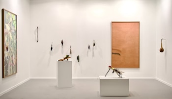 Vista del solo show de