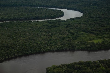 La organización Derecho Vivo radicó una demanda de nulidad ante el Consejo de Estado contra la revocatoria de la reserva ambiental en la Amazonía - crédito Ministerio de Medio Ambiente