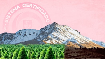 La farmacéutica Siegfried Rhein México