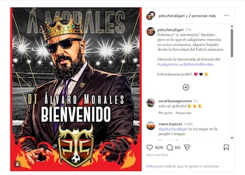 Ilustración de Álvaro Morales con barba, gafas de sol y corona, vistiendo traje. Fondo de estadio. Logo de Peluche Caligari y texto "DT ÁLVARO MORALES BIENVENIDO"