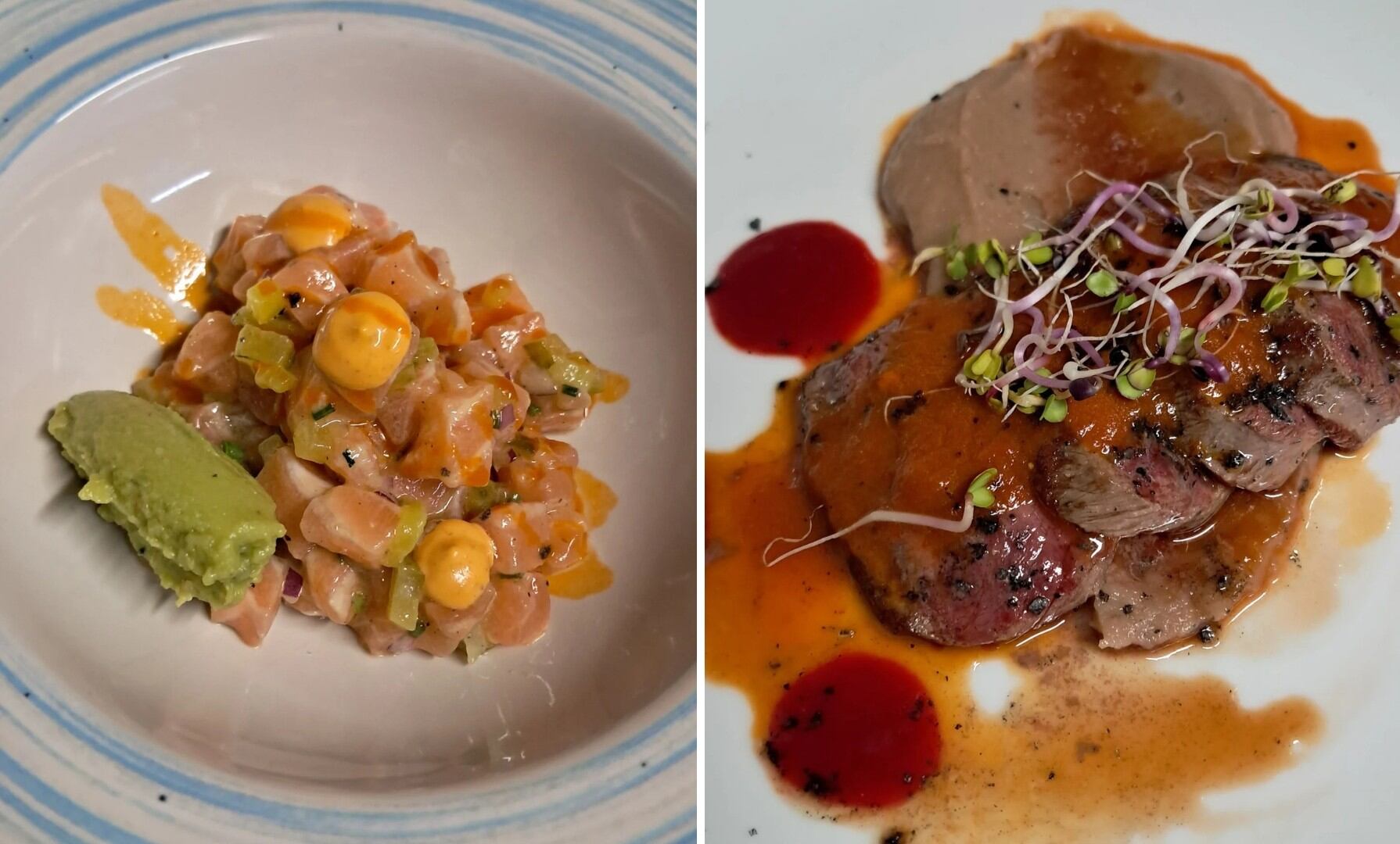 Ceviche de pescado de río y carne de ciervo con puré de castaña (Instagram / @nuevasantuca_)