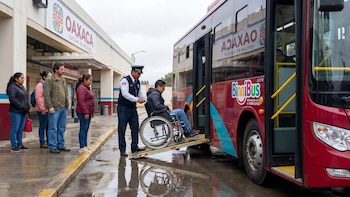 Tarjeta Binnibus 2026 para personas con discapacidad: requisitos y cómo solicitarla