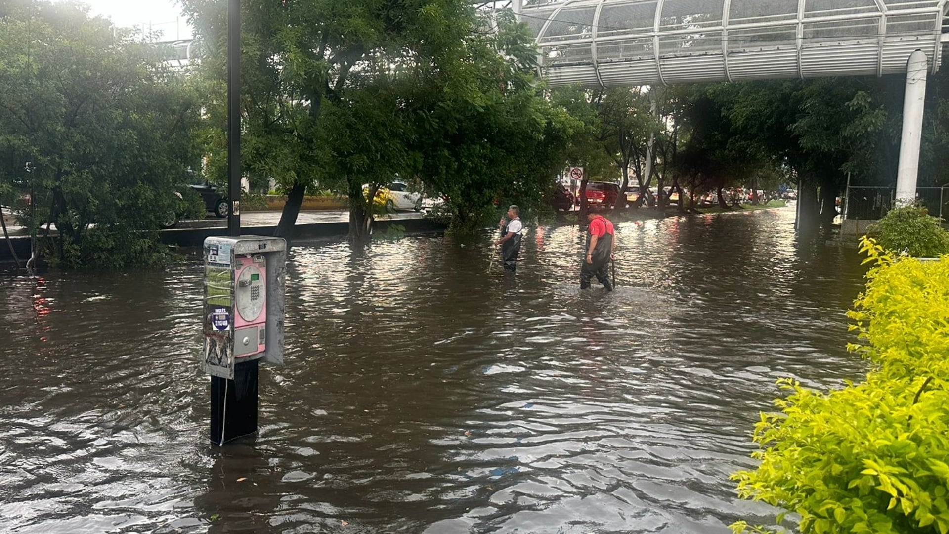 Huracán Genevieve amenaza Jalisco: categoría 3, lluvias torrenciales y oleaje extremo este domingo