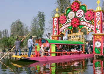 Al principio, la flor se