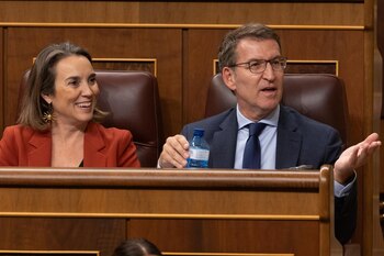 La secretaria general del PP, Cuca Gamarra, y el líder del PP, Alberto Núñez Feijóo, en el Congreso durante el debate de la amnistía. (Eduardo Parra / Europa Press)