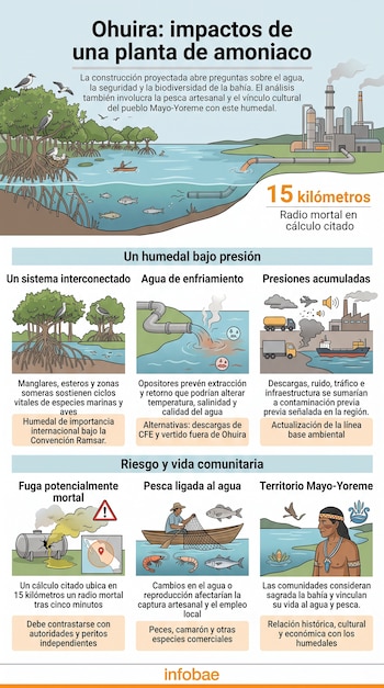 Infografía ilustrada con secciones sobre la bahía de Ohuira, vertidos industriales, pesca, riesgo de fugas y la cultura Mayo-Yoreme.