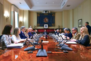 El Pleno del Consejo General