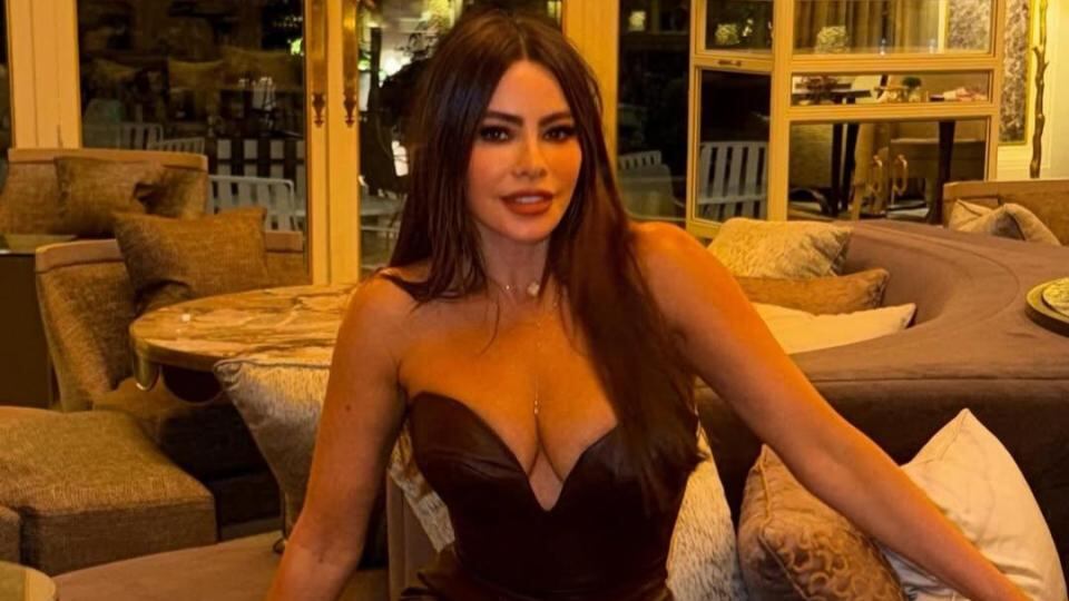 Sofía Vergara publicó el resumen de 2025 con fotos épicas junto a J Balvin, Eva Longoria, Ricky Martin, entre otros