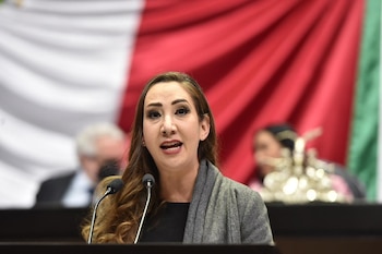 Noemí Berenice Luna Ayala, diputada