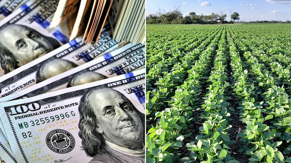 6ARO4XMHCVCHZHQIB7NZMJIQ44