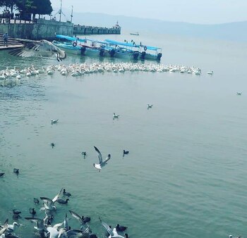 En Chapala, Jalisco, familiares de