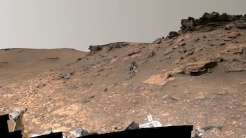 Investigadores destacan la importancia de