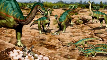 El hallazgo de huevos con