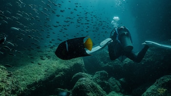 Sumergirse en las aguas de