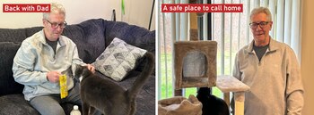 Paws of War, Veteranos