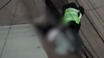 Policía, en su día de