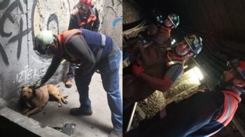 Metro CDMX (Tw metrocdmx)