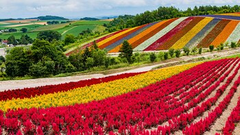 La selecta lista incluye lugares