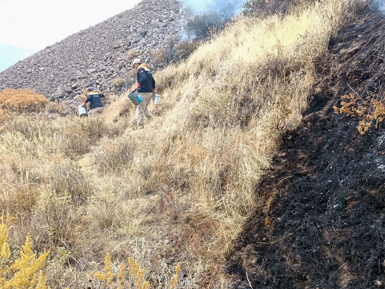 Pobladores de Quillunsa y brigadas del Sernanp luchan para contener el avance del incendio. (Foto: COER Arequipa)