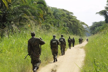 El grupo rebelde ADF está