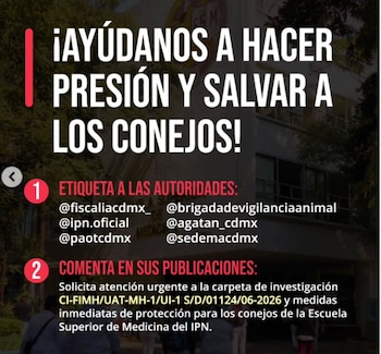 El colectivo UNAM Sin Violencia Animal denunció irregularidades en el caso
