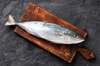 Darle atún diariamente al gato