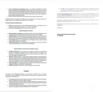 La solicitud incluye un proyecto