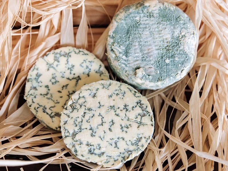 Savel, el queso azul gallego de Airas Moniz (Web de la quesería)