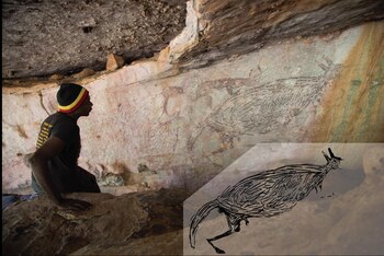 22/02/2021 Un aborigen inspeccionando una pintura naturalista de un canguro, que se determinó que tiene más de 12,700 años según la edad de los nidos de avispas de barro superpuestos. El recuadro es una ilustración de la pintura.
POLITICA INVESTIGACIÓN Y TECNOLOGÍA
PETER VETH/ PAULINE HEANEY