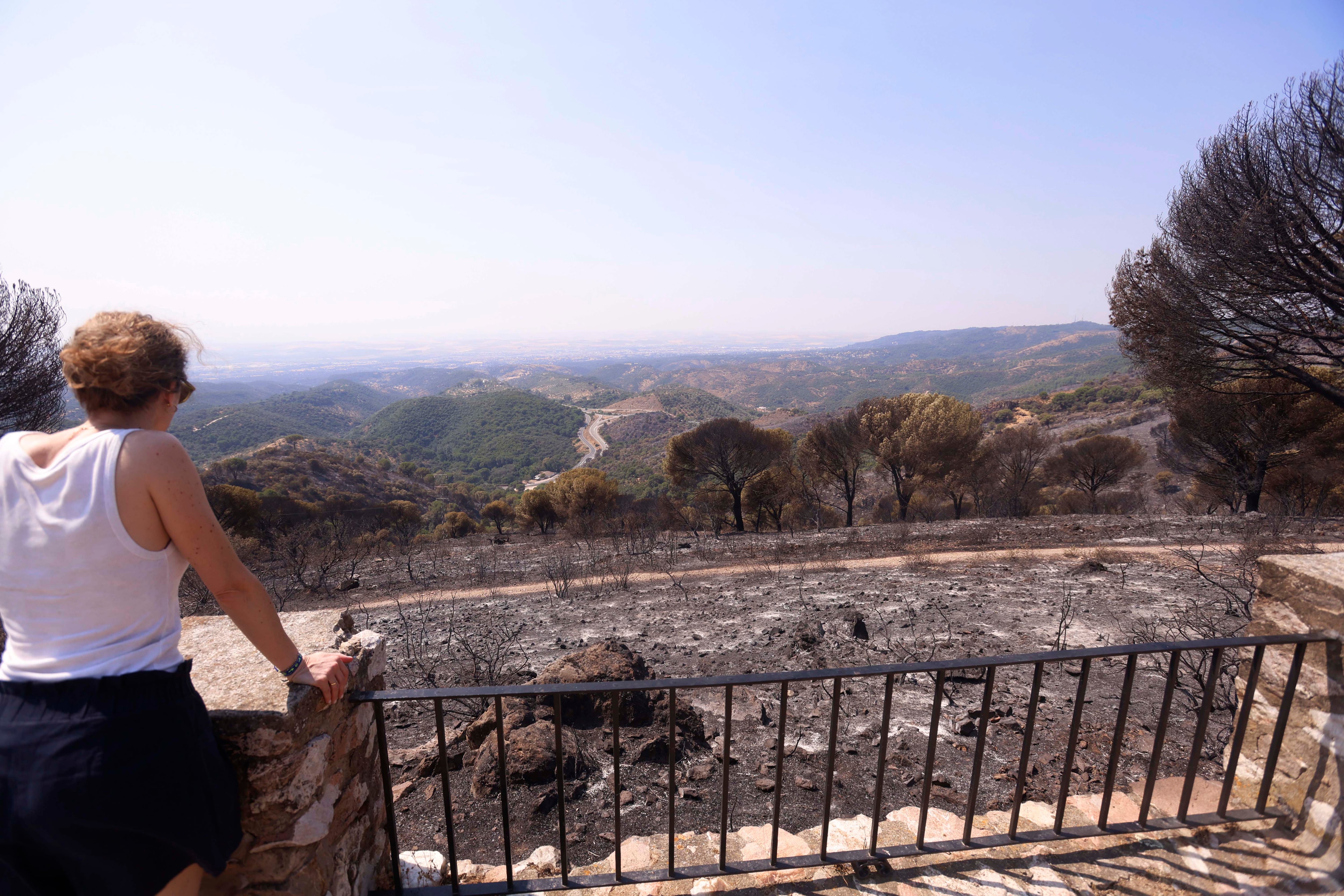Los efectos del incendio forestal en Cerro Muriano, en Córdoba. (EFE/ Salas)