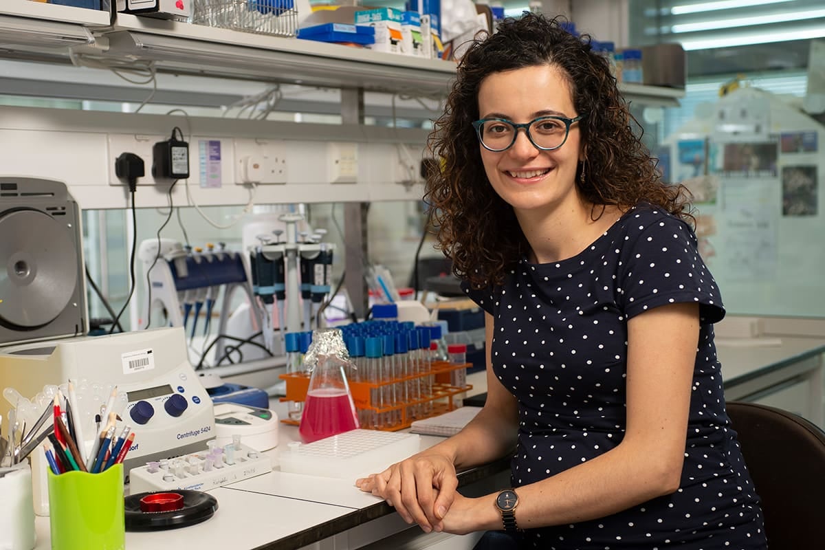 Imagen de Marta Shahbazi del MRC Laboratory of Molecular Biology.