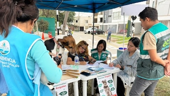Municipalidad de Magdalena lanza convocatoria laboral para mayo de 2026: solo es necesario tener secundaria
