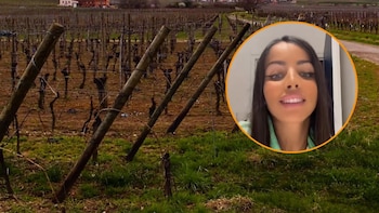 Sonia Bellina: el cuerpo quemado encontrado en un viñedo de Francia pertenece a la conocida influencer, de 29 años