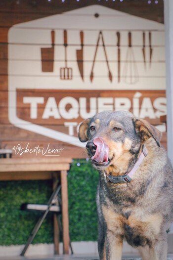 De acuerdo con el establecimiento,