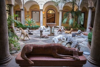 La instalación del artista italiano