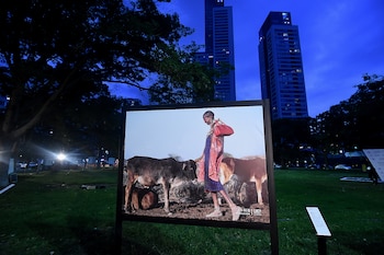 La muestra estará en Plaza