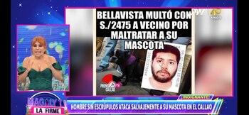 Hombre sin escrúpulos ataca salvajemente a su mascota en el Callao. Magaly TV La Firme/ ATV